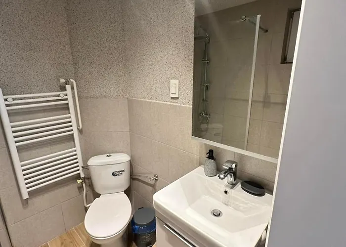 Apartament Regina's Modern Two-bedroom In Center *